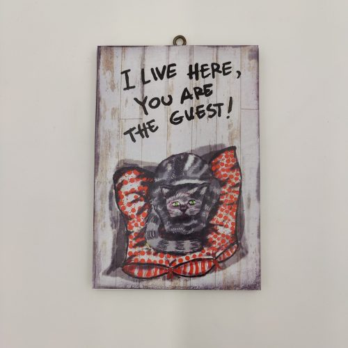 "I LIVE HERE, YOU ARE THE GUEST"