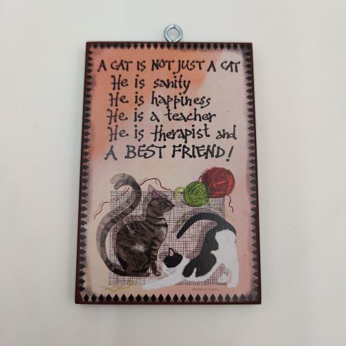 "A CAT IS NOT JUST A CAT. HE IS..."