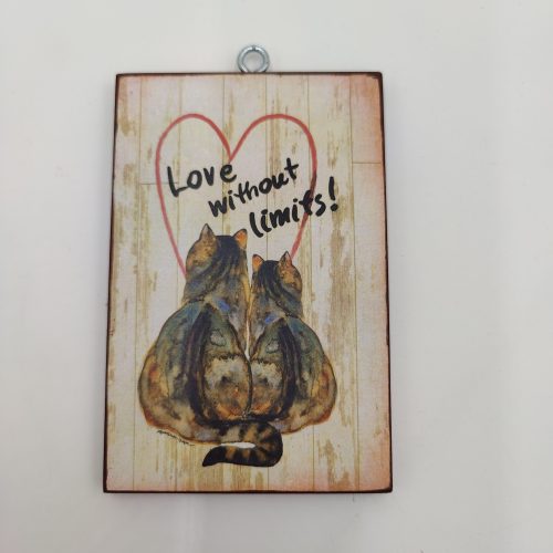 "LOVE WITHOUT LIMITS"