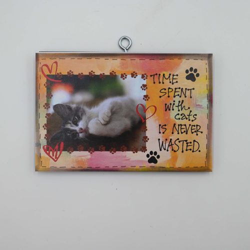 "TIME SPENT with cats"-Πρόσθεσε φωτογραφία