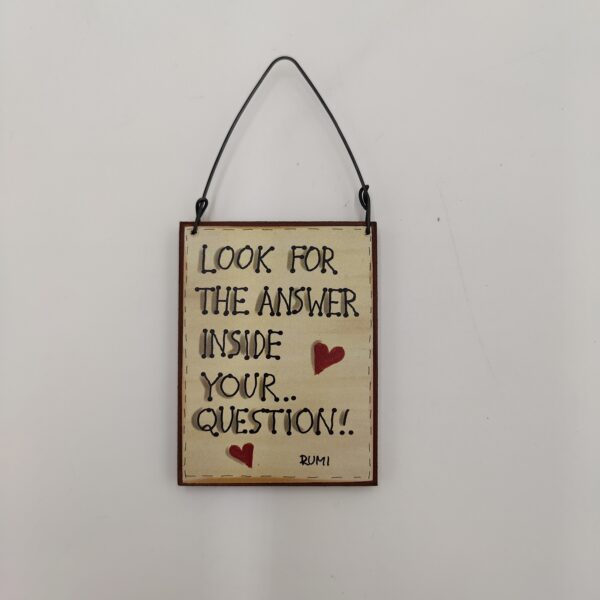 "LOOK FOR THE ANSWER" xerokamwto ombra