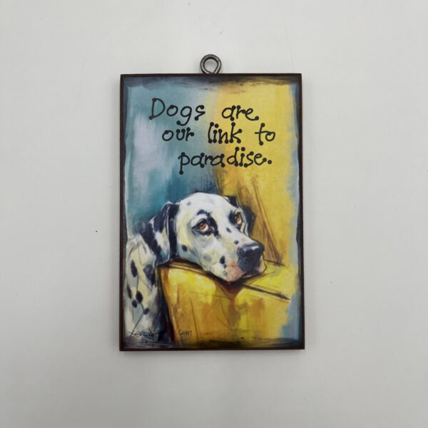 Dogs are xerokamoto