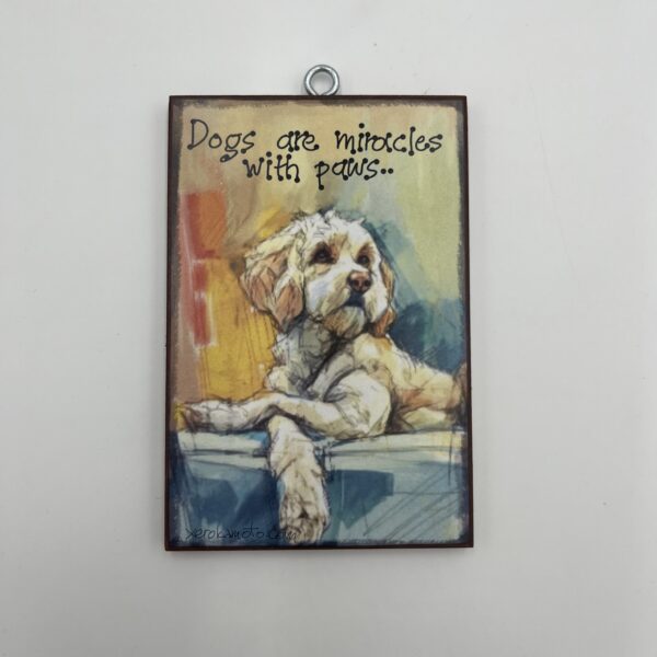 Dogs are miracles - xerokamoto
